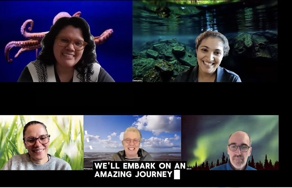 Participants creating together on a video call